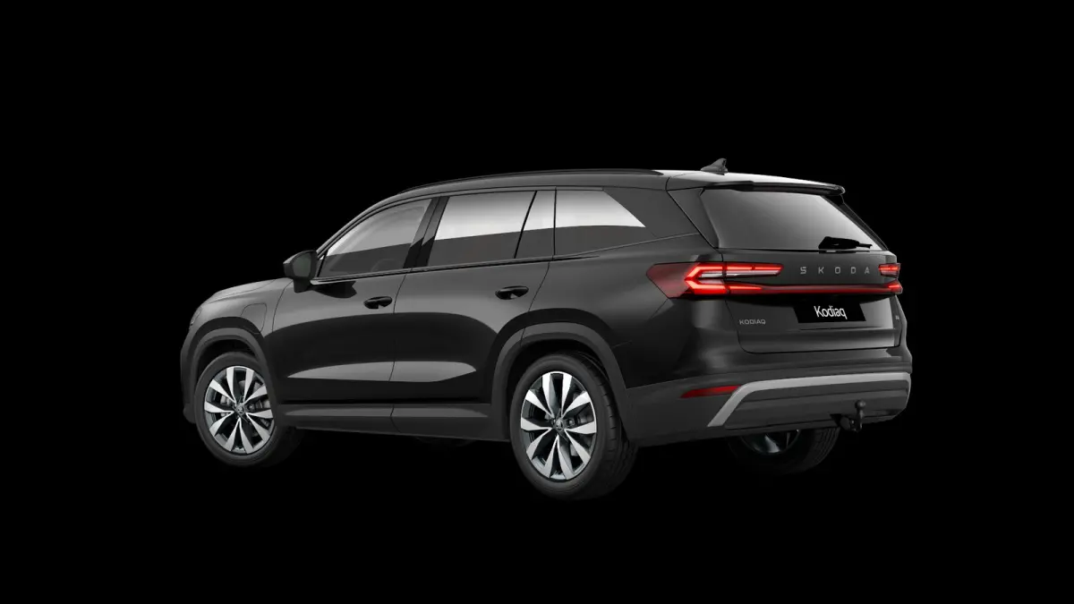 1.5 TSI 204pk PHEV Business Edition Plus | LMV 19'' | Panoramadak