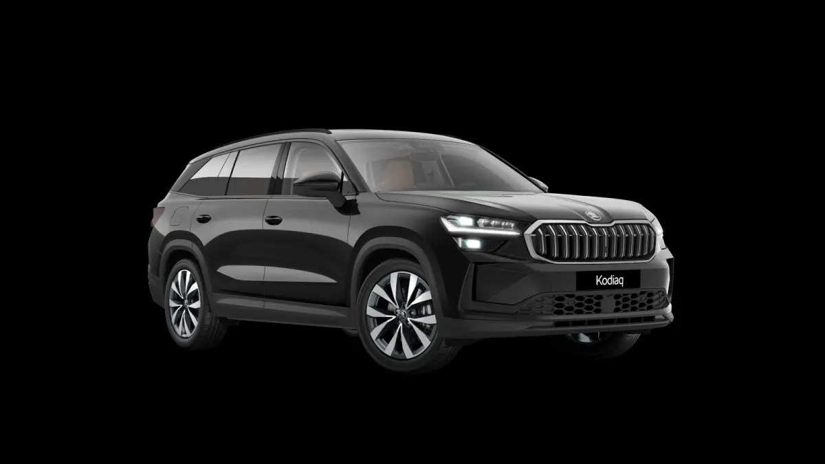 1.5 TSI 204pk PHEV Business Edition Plus | LMV 19'' | Panoramadak