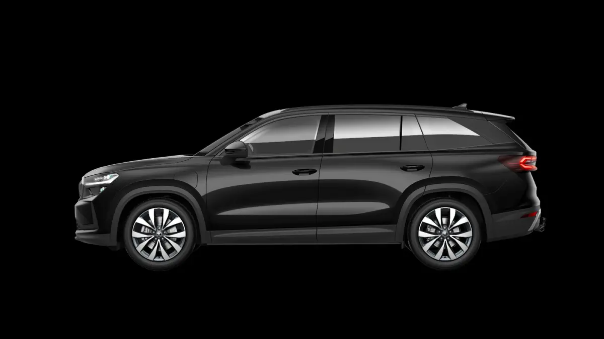 1.5 TSI 204pk PHEV Business Edition Plus | LMV 19'' | Panoramadak
