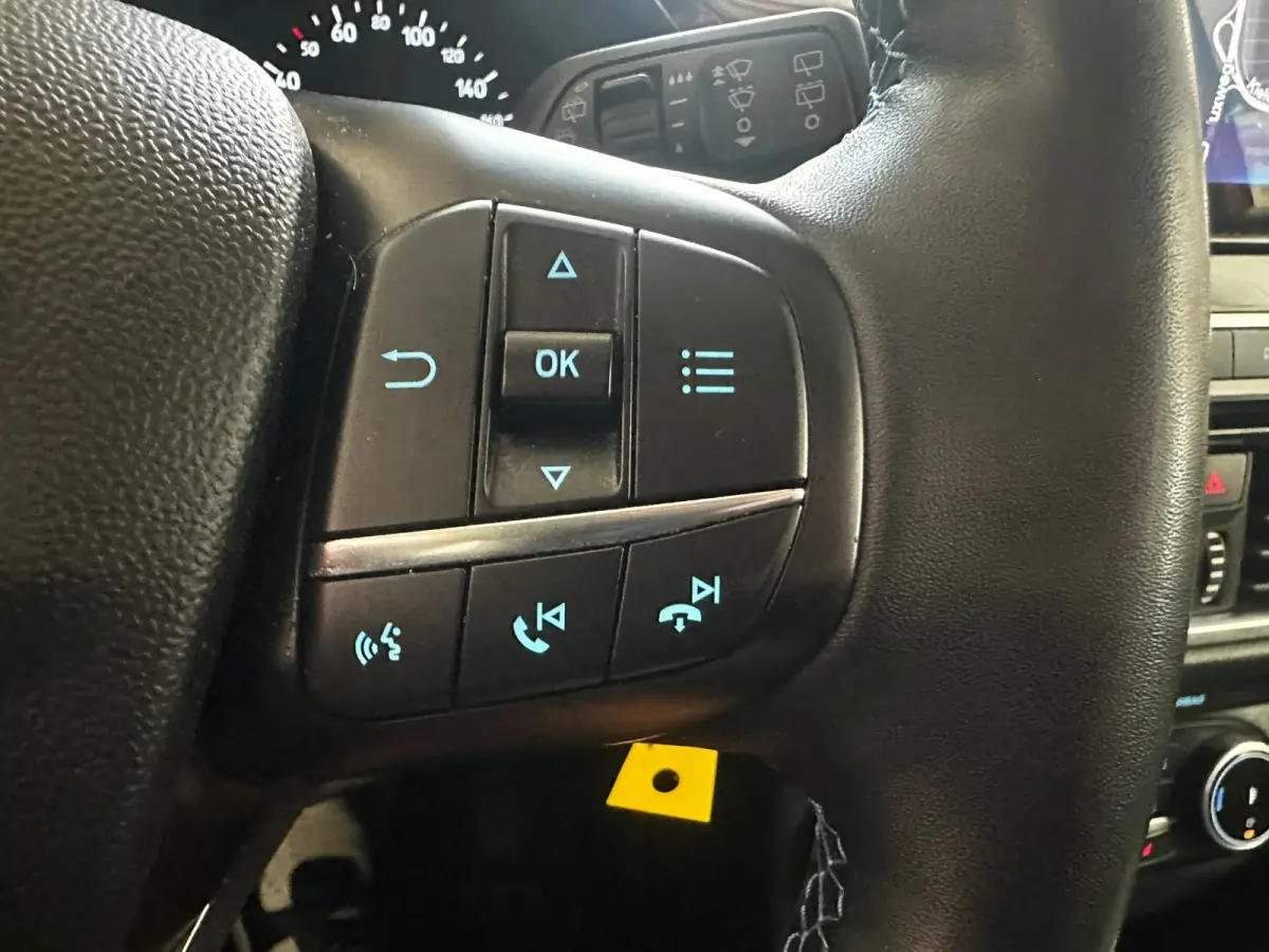 1.0 EcoBoost Hybrid Active X CARPLAY AUTOMAAT
