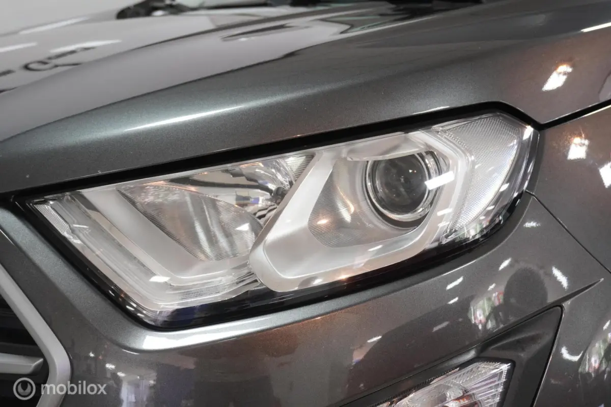 1.0 EcoBoost Titanium | Automaat | Trekhaak |