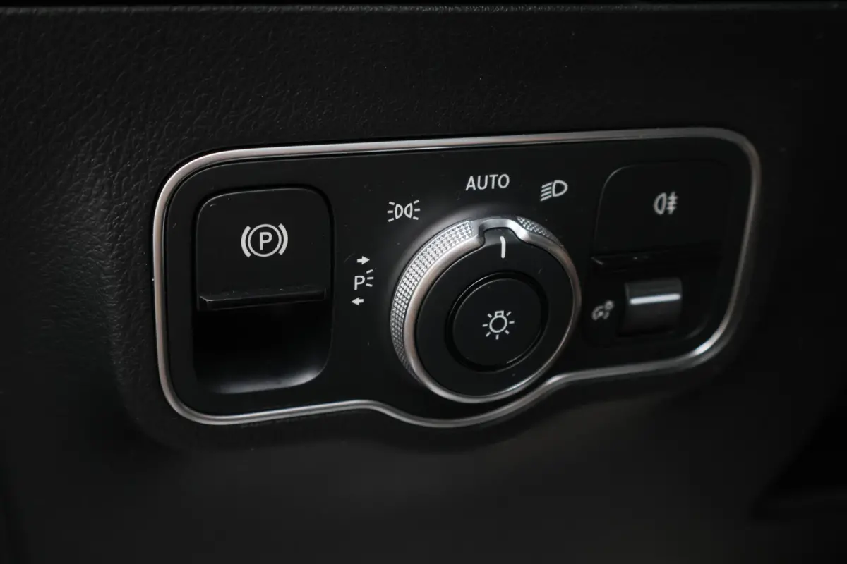 250 e Business Line Camera, Cruise, Apple Carplay, LED, PDC, Sfeerverlichting, Trekhaak, 18''