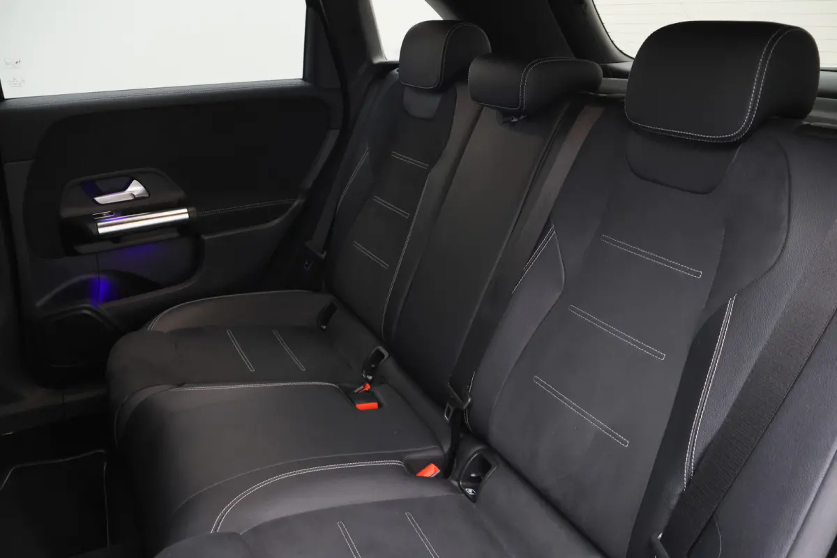 250 e Business Line Camera, Cruise, Apple Carplay, LED, PDC, Sfeerverlichting, Trekhaak, 18''