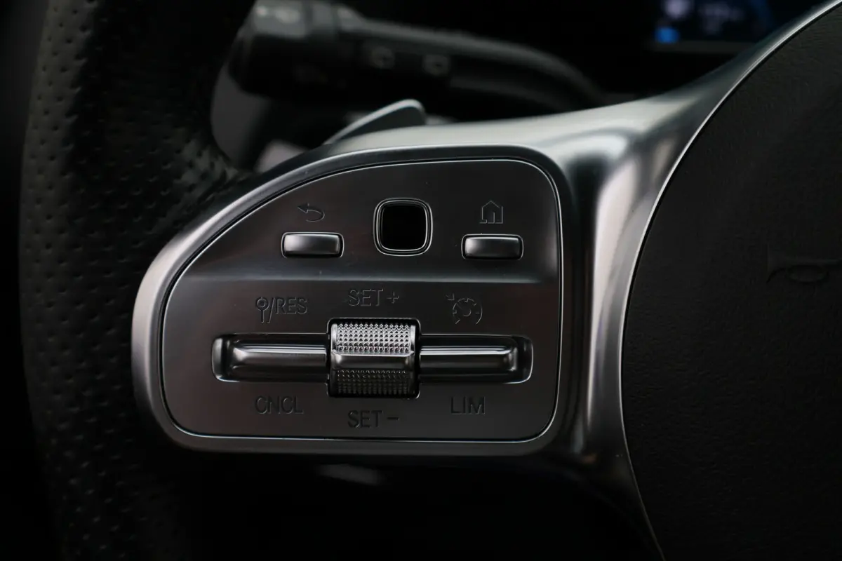 250 e Business Line Camera, Cruise, Apple Carplay, LED, PDC, Sfeerverlichting, Trekhaak, 18''