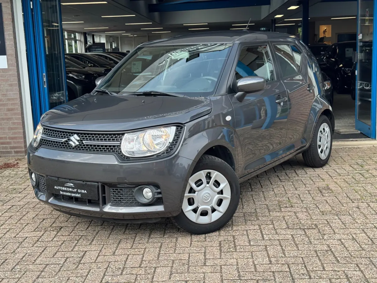 1.2 Comfort Grijs 2019 Airco LM NAP 1e Eig!