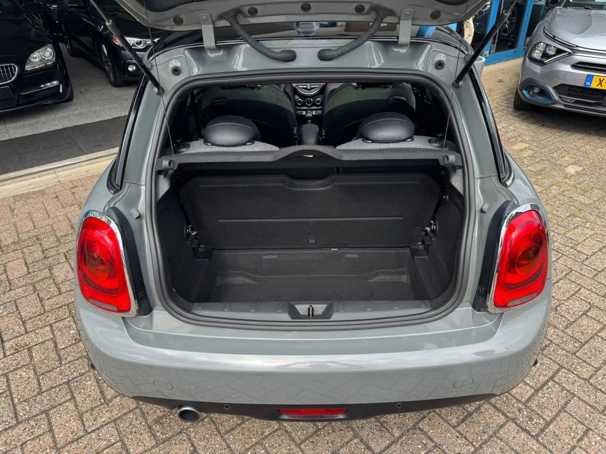 1.5 Cooper Chili 2016 AUT PANO NAVI Harman NAP!