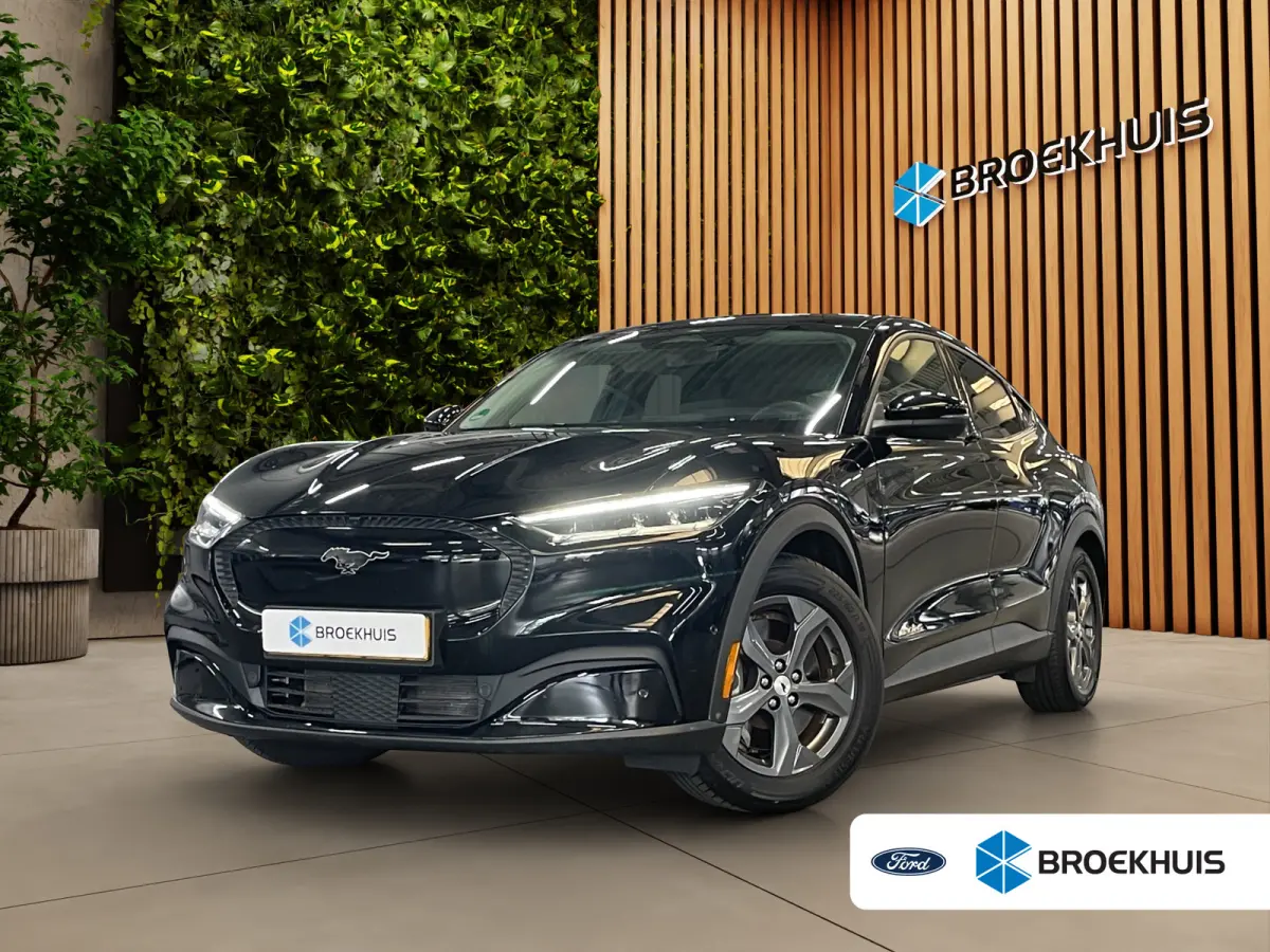 Extended RWD 98 kWh | SOH 93% | B&O | Trekhaak | Adapt. Cruise | Leer | Blis | LED | 18''