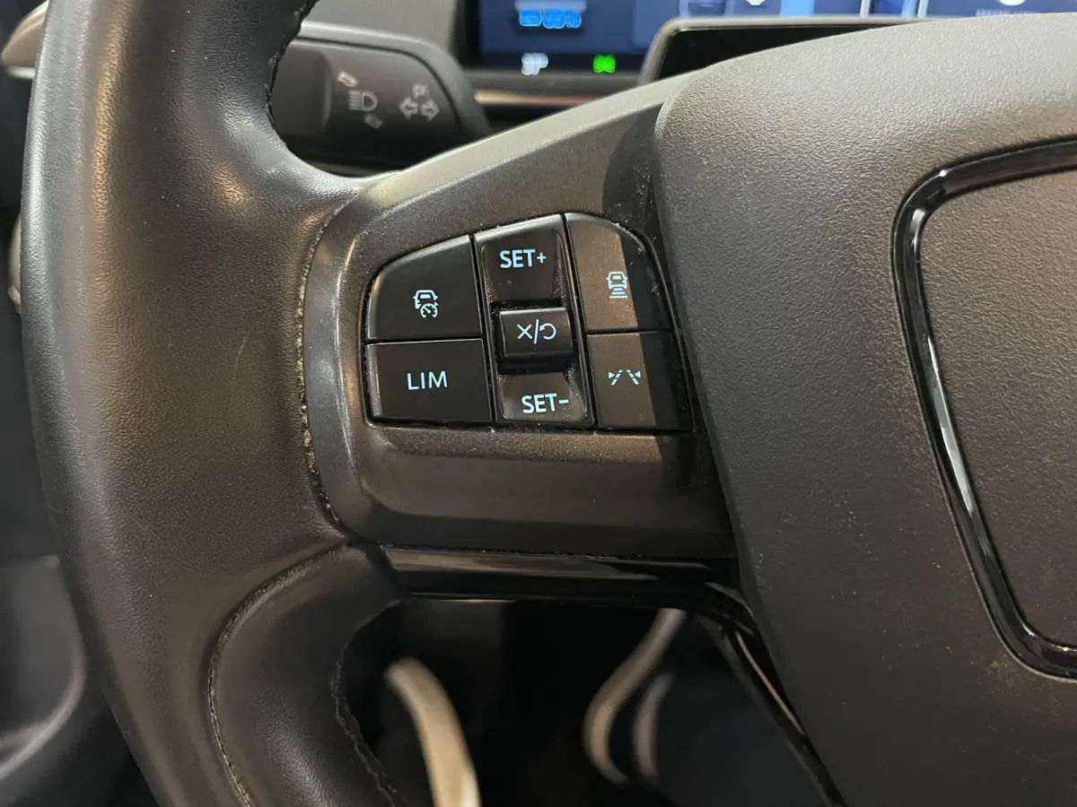 Extended RWD 98 kWh | SOH 93% | B&O | Trekhaak | Adapt. Cruise | Leer | Blis | LED | 18''