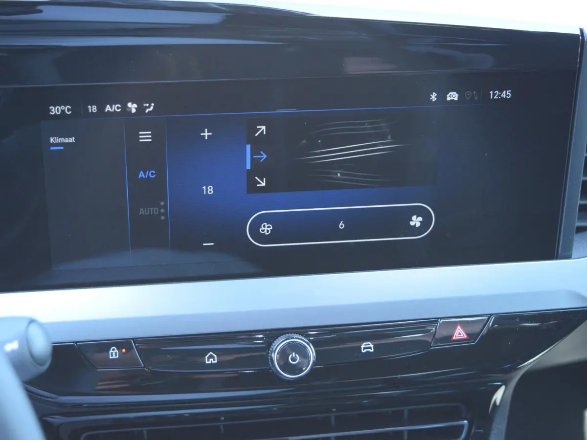 1.2 Turbo Hybrid Business Edition l cruise control adaptief l keyless entry l Apple Carplay/Android Auto