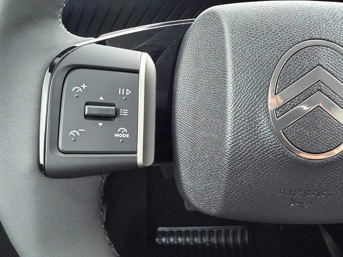 Max 113pk Extended Range 54 kWh | Achteruitrijcamera | Apple Carplay/Android Auto|telefoonintegratie premium | Cruise control