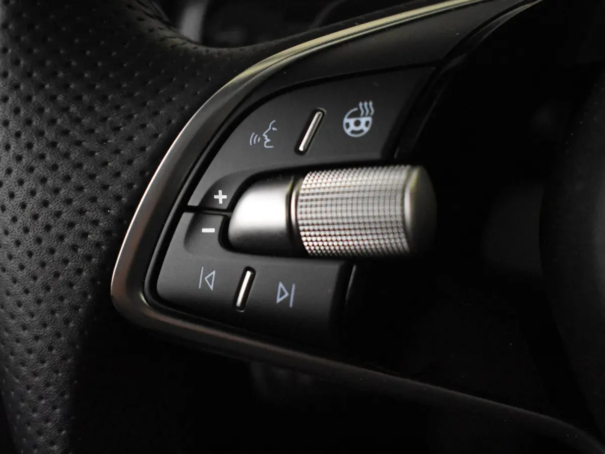 Sportline Business | Achteruitrijcamera | Crew Protect Assist | Cruise control met speedlimiter