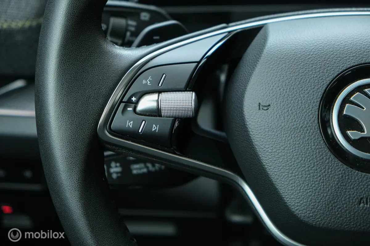 1.5 TSI PHEV Business Edition | Pano | Elec trekhaak | DAB+ | Camera | Chrystal Lightning | Memory | ACC | Sfeerverlichting | Stoelverwarming