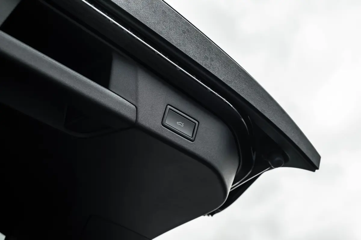 Pro Limited Edition 77 kWh Trekhaak | Harman/Kardon | 20" Bergen | Interieur Style pakket |