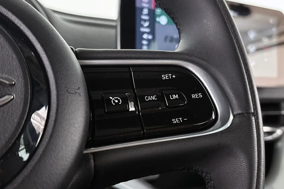 3+1 Icon 42 kWh Panoramadak Apple CarPlay Camera 16"