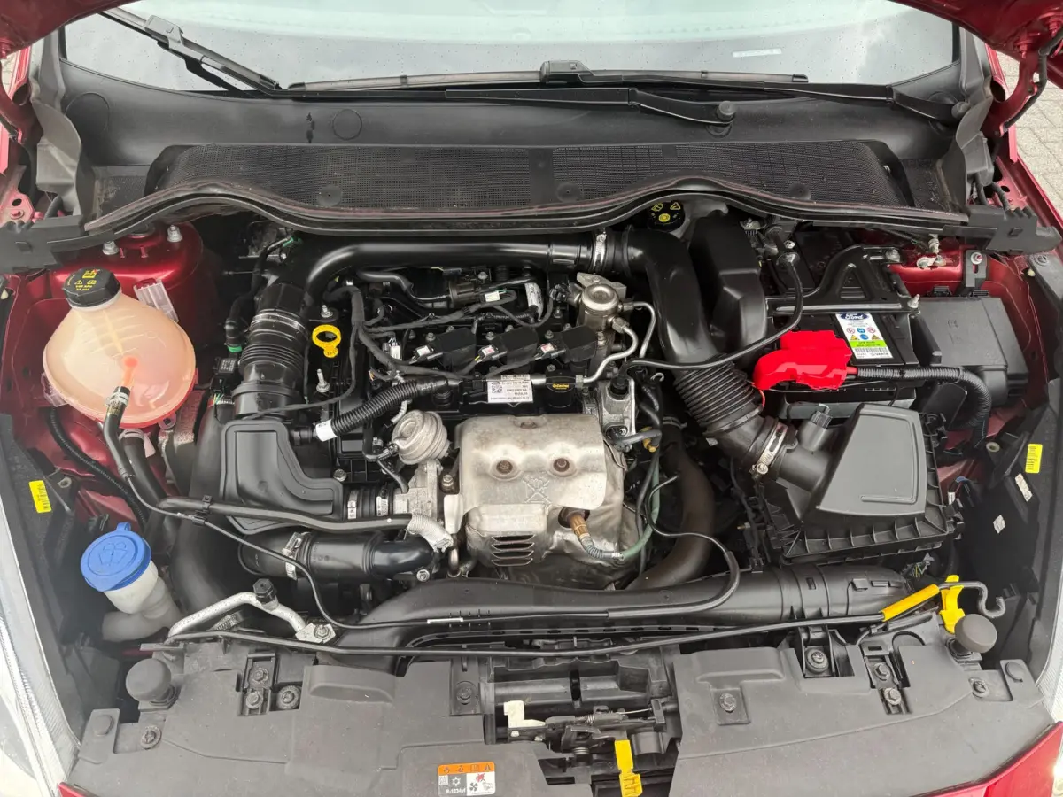 1.0 EcoBoost Titanium | 2E EIGENAAR | 3/6 OF 12 MND GARANTIE | CAMERA | PANO DAK | TREKHAAK | CARPLAY |