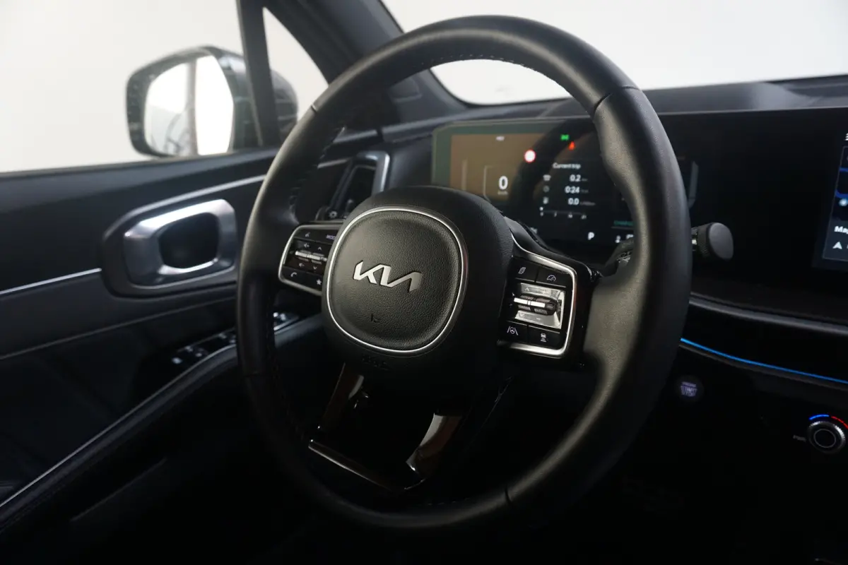 1.6 T-GDi Plug-in Hybrid 4WD ExecutiveLine 7-Persoons | 100% SoH | Trekhaak Afneembaar | Full Options | | Achterbank verwarmd | Achteruitrijcamera | Audio installatie premium