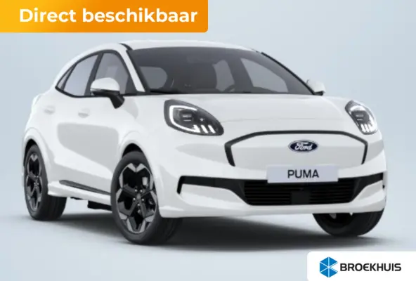 Premium 44 kWh | 6-weg verstelling op passagiersstoel | Achteruitrijcamera | Bang & Olufsen Sound System