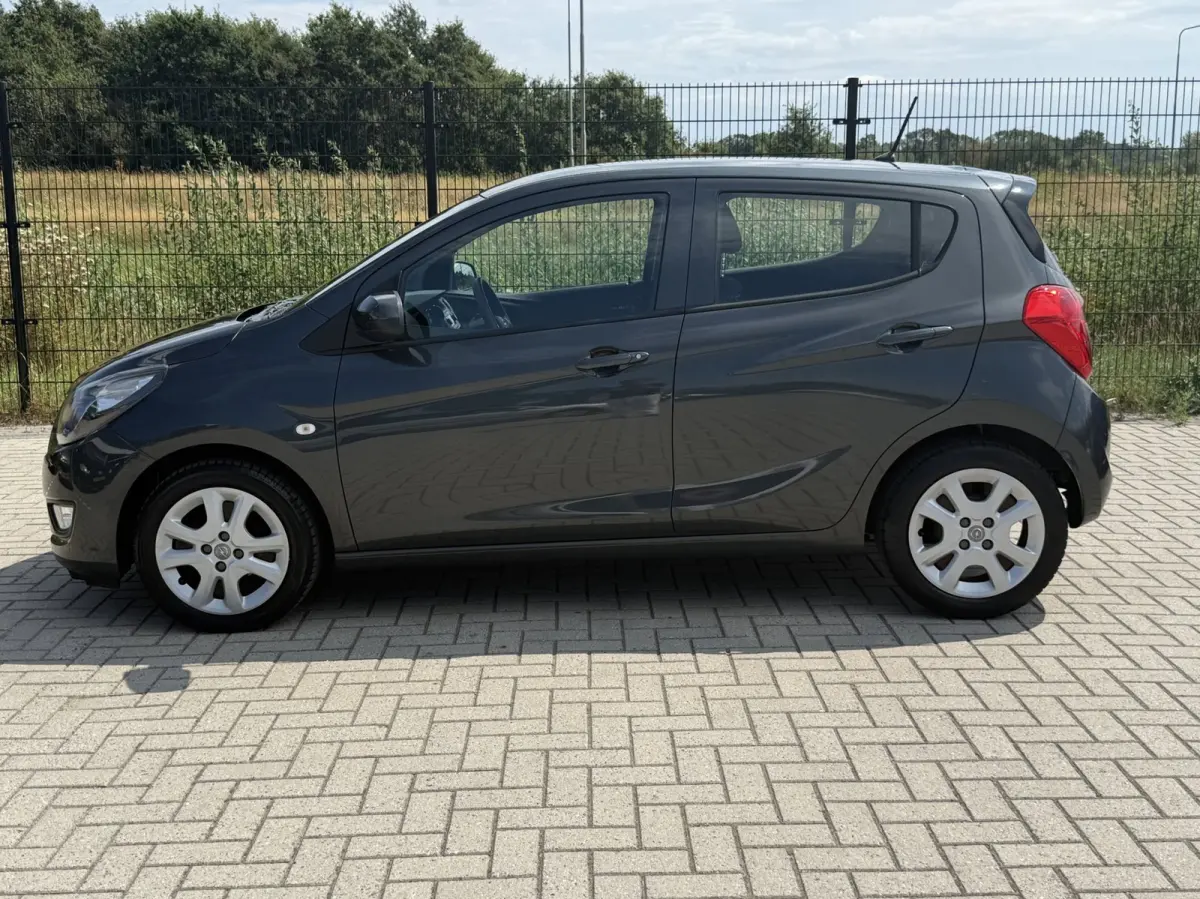 1.0 ecoFLEX Edition | Airco | Bluetooth | PDC | Cruise control