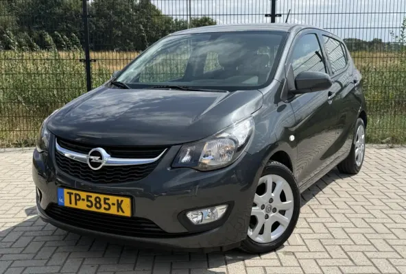 1.0 ecoFLEX Edition | Airco | Bluetooth | PDC | Cruise control