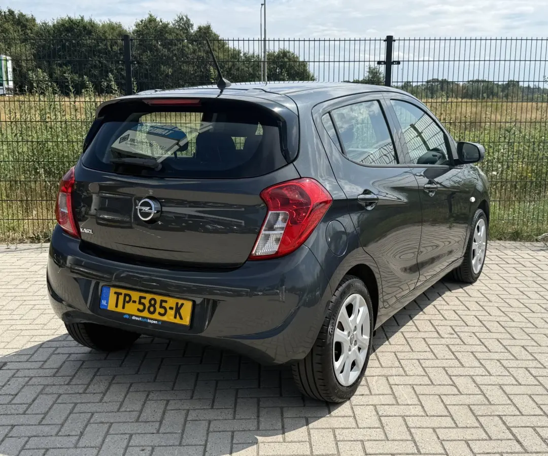 1.0 ecoFLEX Edition | Airco | Bluetooth | PDC | Cruise control