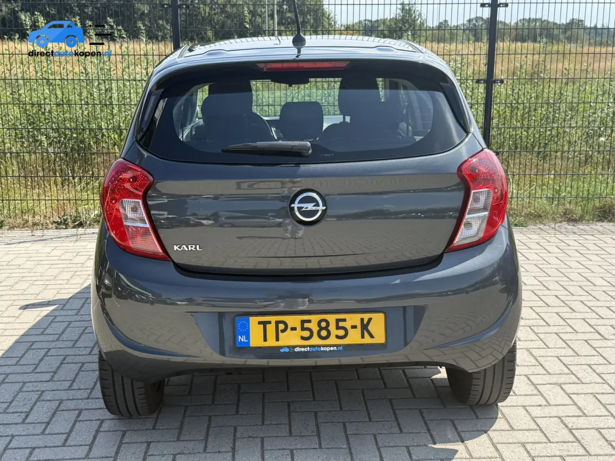 1.0 ecoFLEX Edition | Airco | Bluetooth | PDC | Cruise control