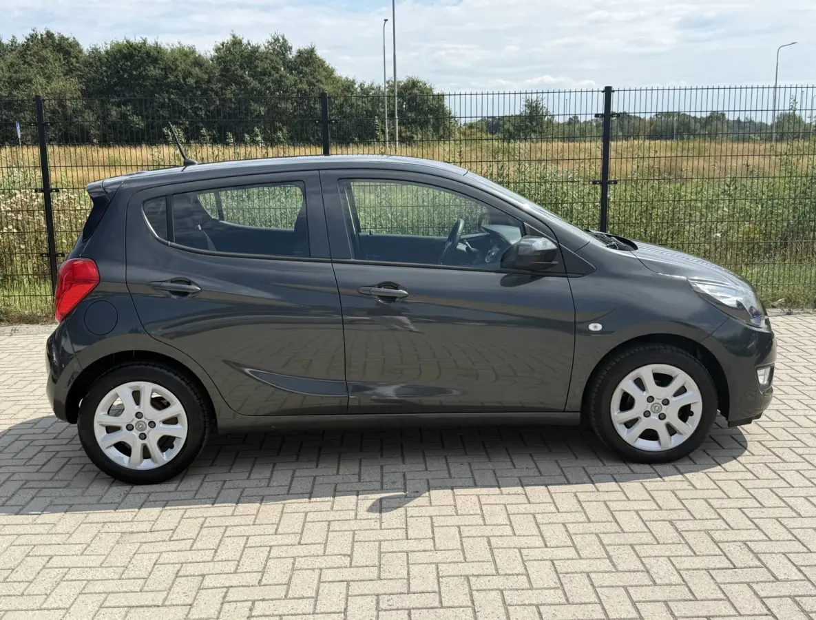 1.0 ecoFLEX Edition | Airco | Bluetooth | PDC | Cruise control