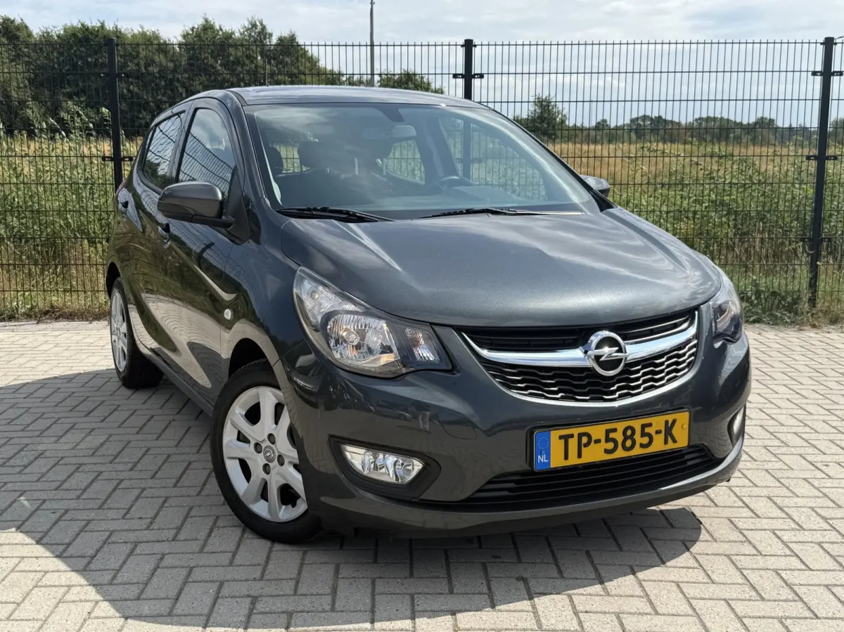 1.0 ecoFLEX Edition | Airco | Bluetooth | PDC | Cruise control