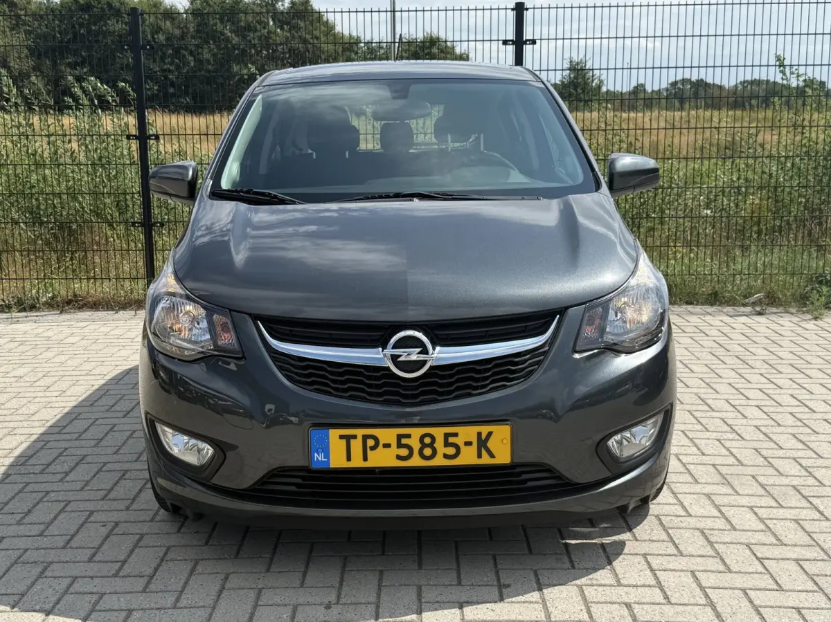 1.0 ecoFLEX Edition | Airco | Bluetooth | PDC | Cruise control