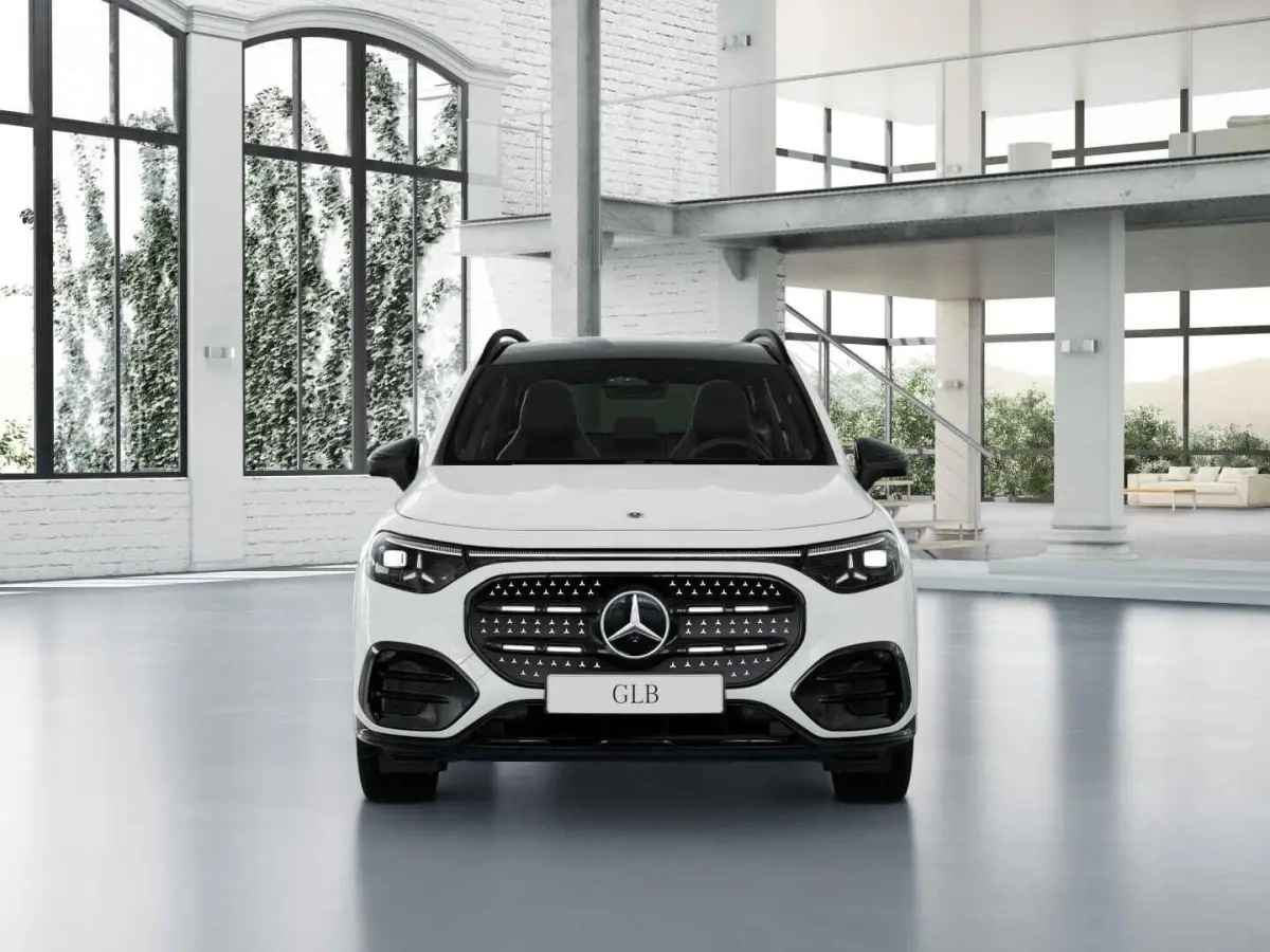 electric 250+ Business Solution AMG 85.5 kWh
