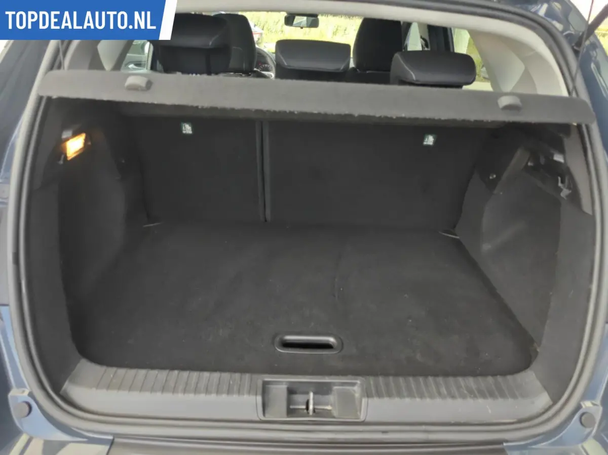 1.0 TCe 100 Zen Cruise/Carplay Lage kmstand!