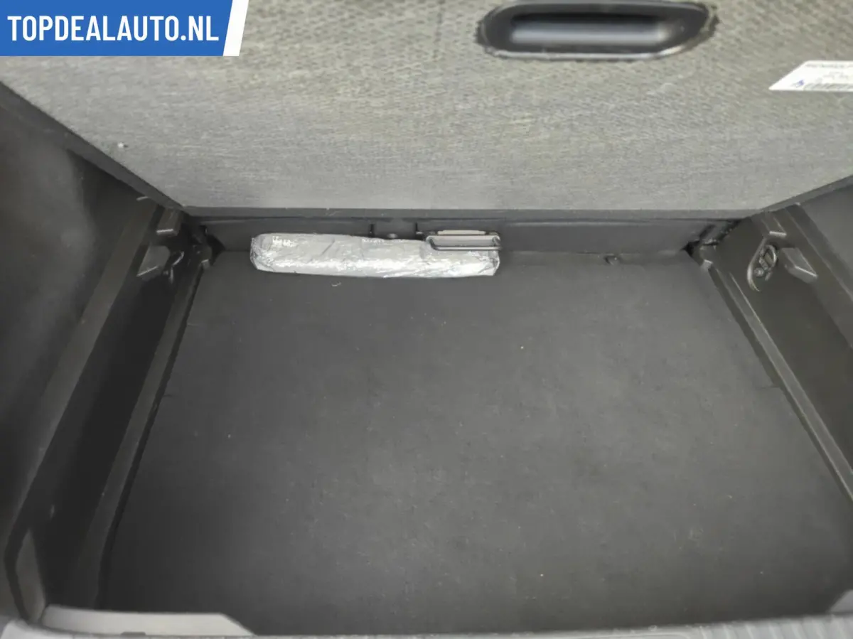 1.0 TCe 100 Zen Cruise/Carplay Lage kmstand!