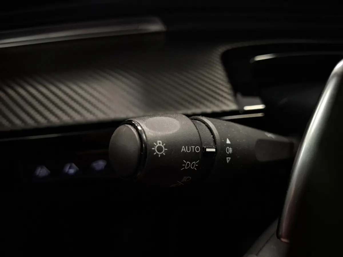 1.6 PureTech Blue Lease Active Schuif/kanteldak Camera Navi LED Mooi!