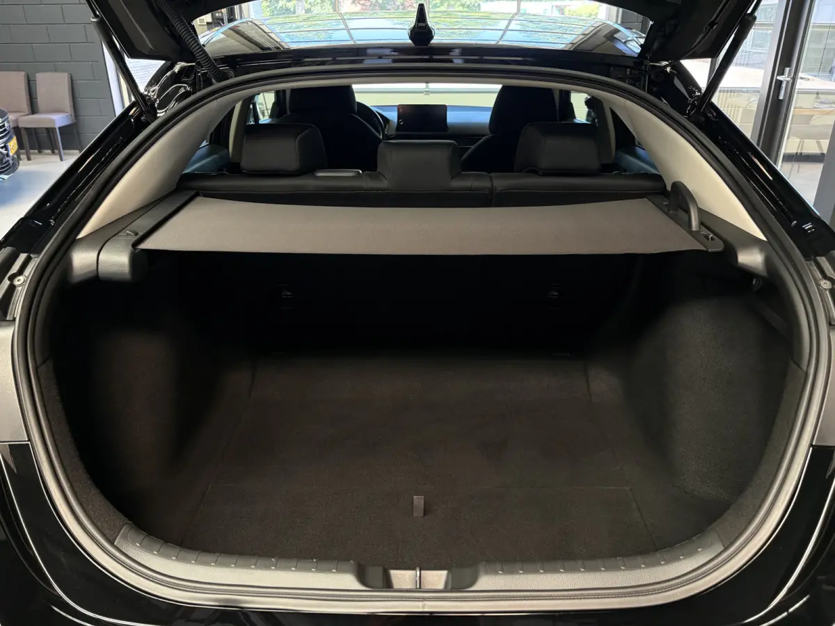 2.0 e:HEV Elegance Adapt Cruise, Automaat, Camera