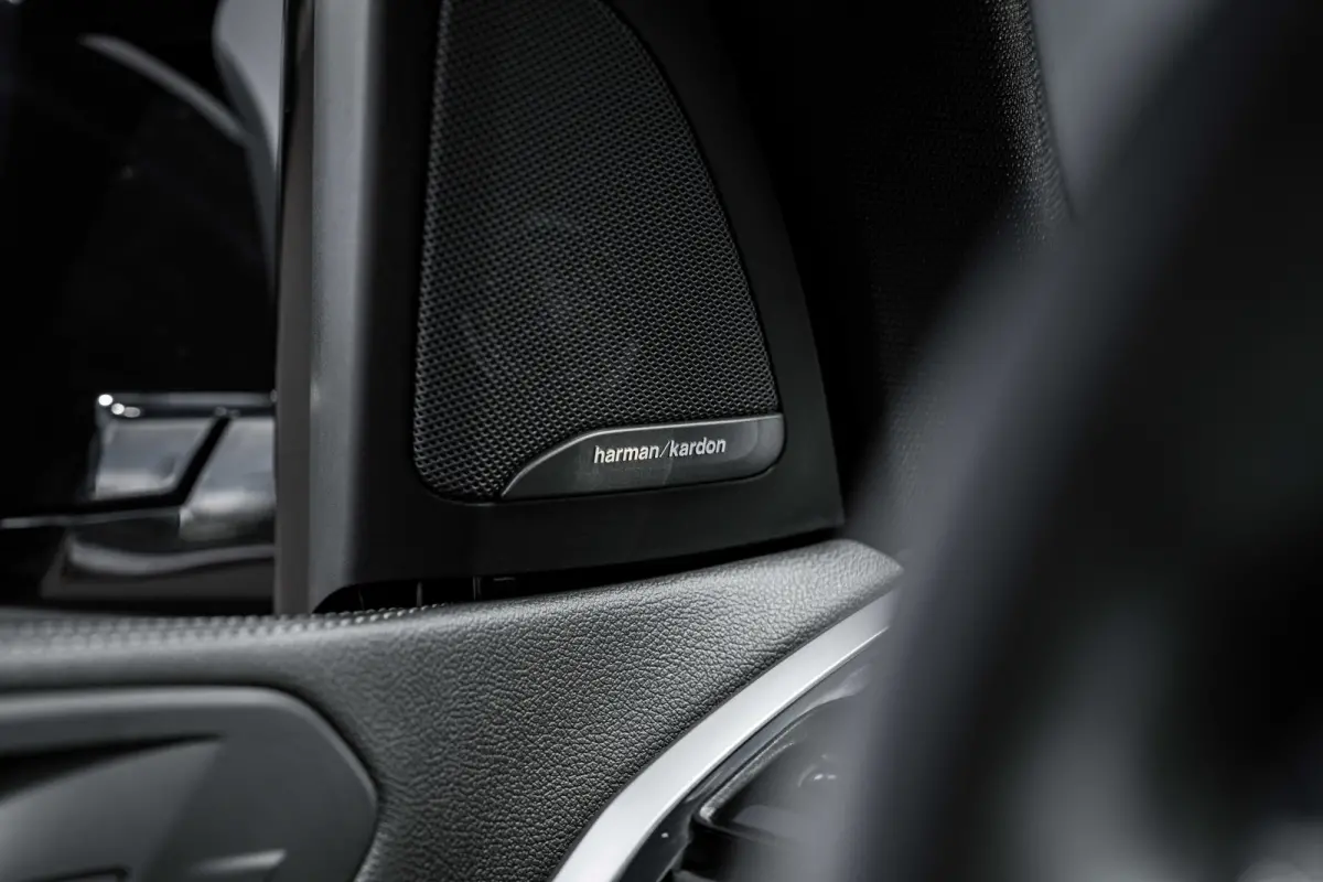 xDrive45e High Executive | Harman Kardon | Luchtvering | Head-Up | Dodehoek | Leer |