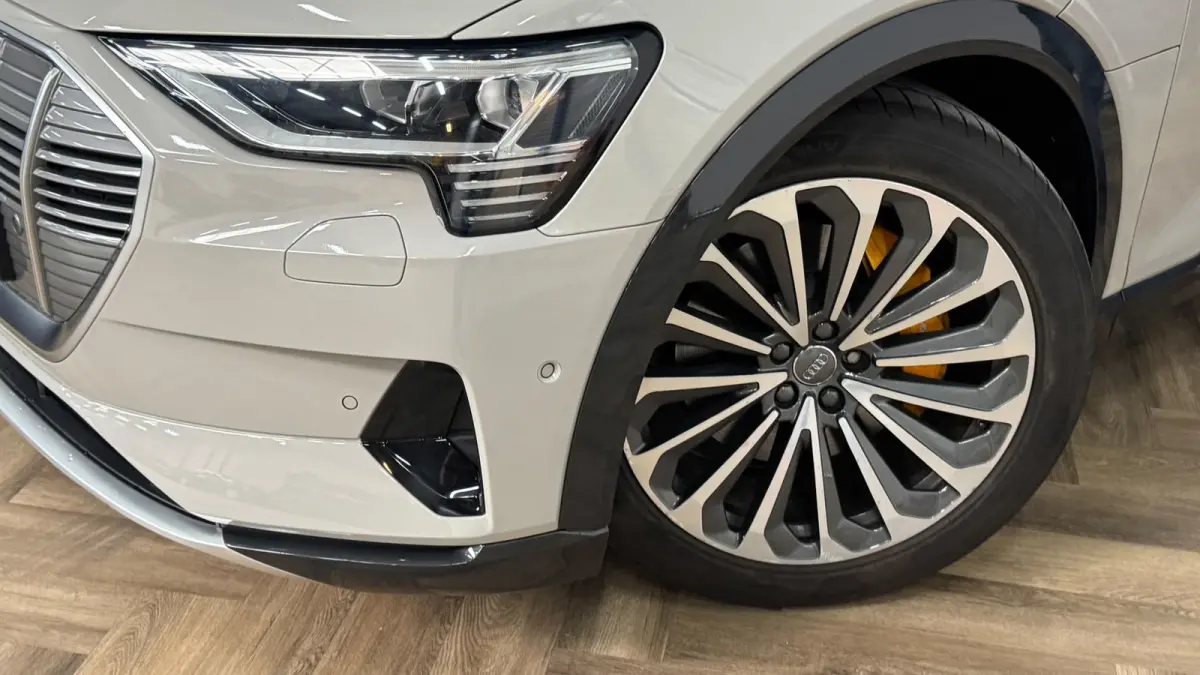 E-tron 55 quattro advanced Pro Line Plus 95 kWh|PANO|HUD|B&O|