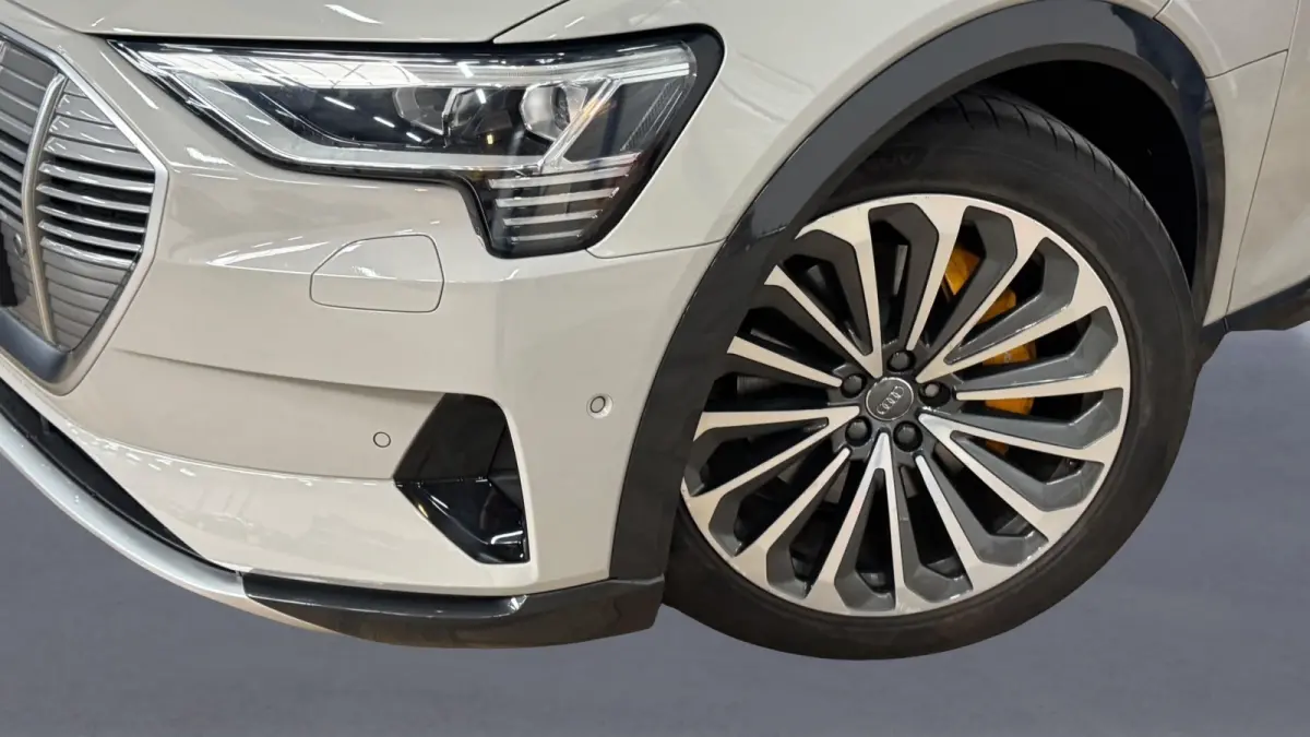 E-tron 55 quattro advanced Pro Line Plus 95 kWh|PANO|HUD|B&O|