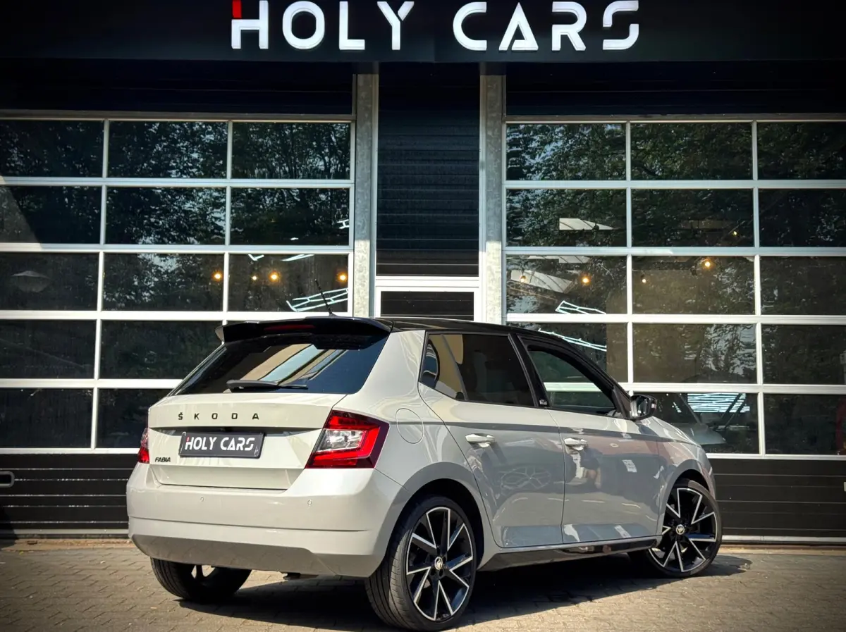 1.0 TSI MONTE CARLO | AUTOMAAT | CAMERA | LED |