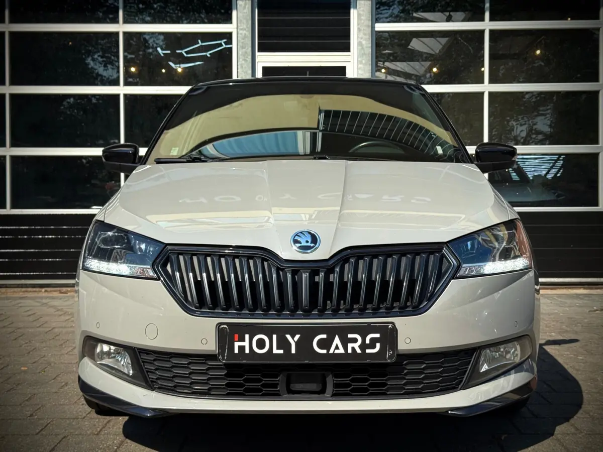 1.0 TSI MONTE CARLO | AUTOMAAT | CAMERA | LED |