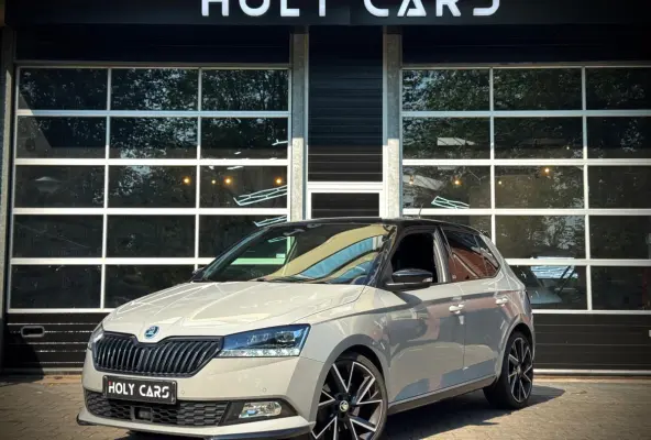 1.0 TSI MONTE CARLO | AUTOMAAT | CAMERA | LED |