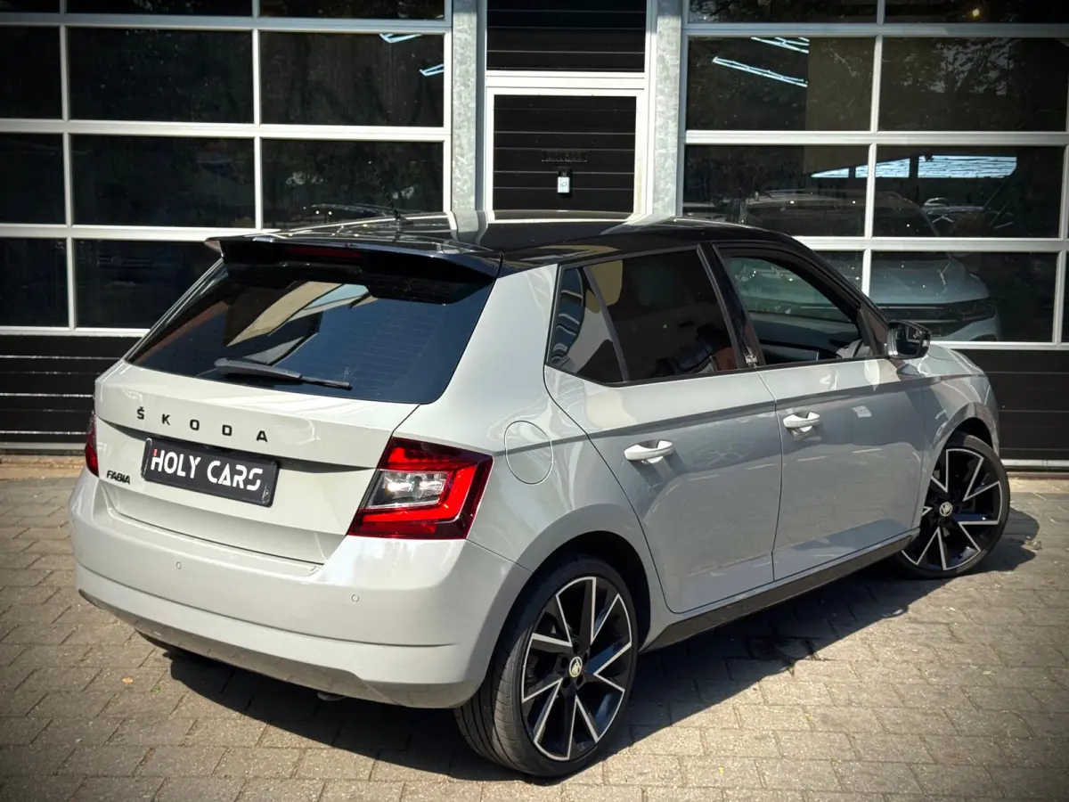 1.0 TSI MONTE CARLO | AUTOMAAT | CAMERA | LED |