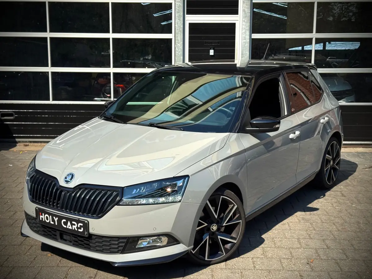 1.0 TSI MONTE CARLO | AUTOMAAT | CAMERA | LED |