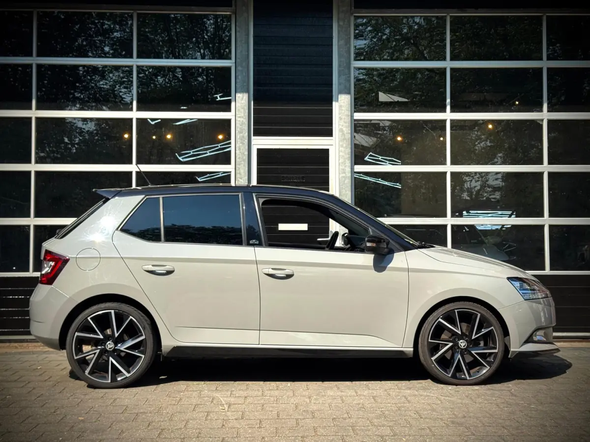 1.0 TSI MONTE CARLO | AUTOMAAT | CAMERA | LED |