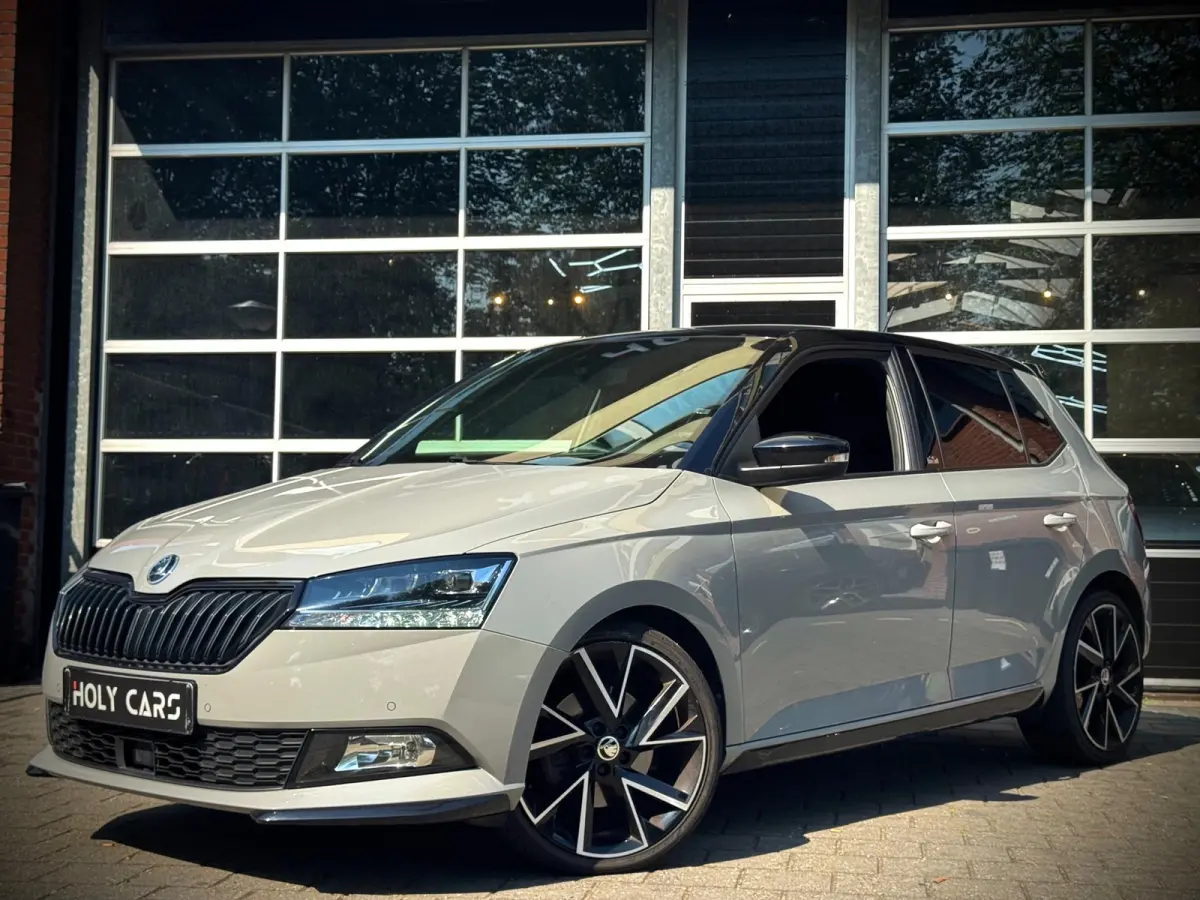 1.0 TSI MONTE CARLO | AUTOMAAT | CAMERA | LED |
