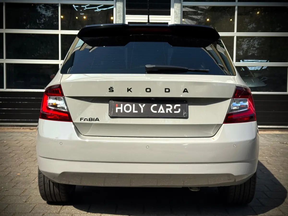 1.0 TSI MONTE CARLO | AUTOMAAT | CAMERA | LED |