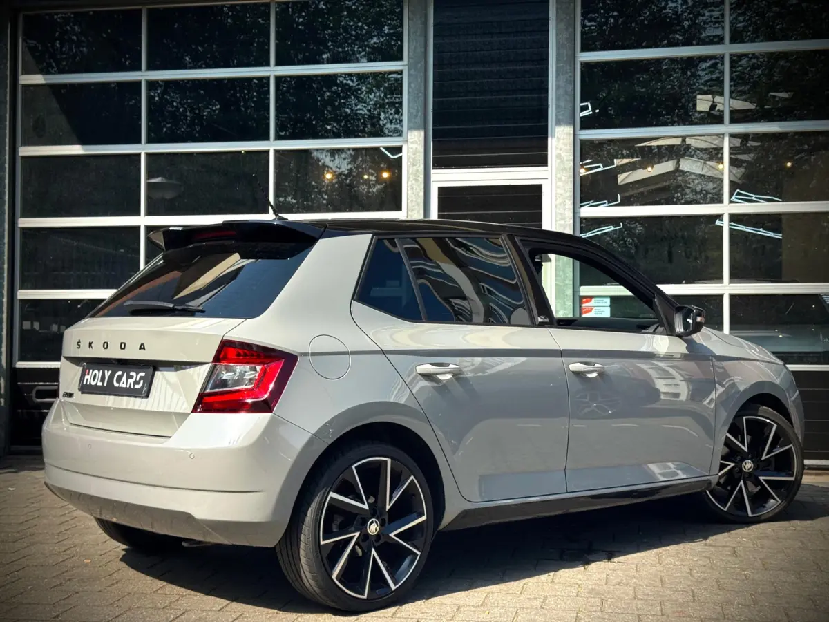 1.0 TSI MONTE CARLO | AUTOMAAT | CAMERA | LED |