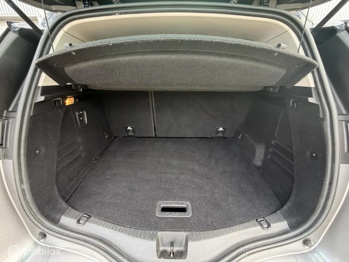 1.3 TCe Intens 2018 / Camera / Keyless / PDC / Half Leer / Dodehoekdetectie / 2e eigenaar NAP