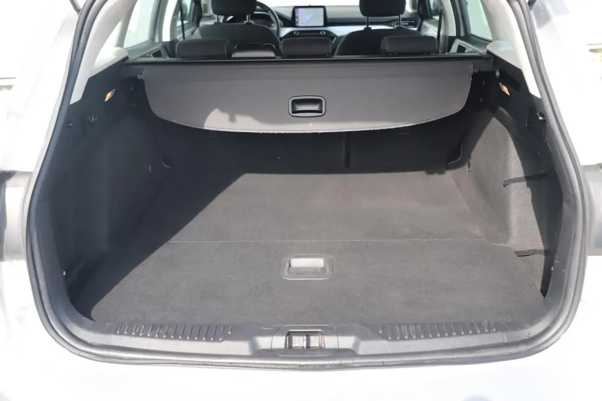 1.0 EcoBoost Trend Edition Business 101PK Trekhaak Navigatie Carplay Android Airco Cruise Control 16 inch LMV(Trekhaak)