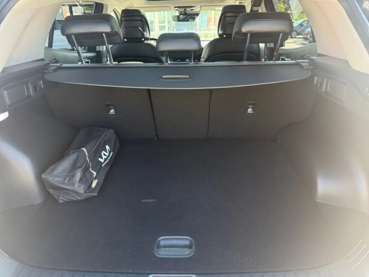 1.6 T 230 PK Hybride DynamicPlus Line | panoramadak