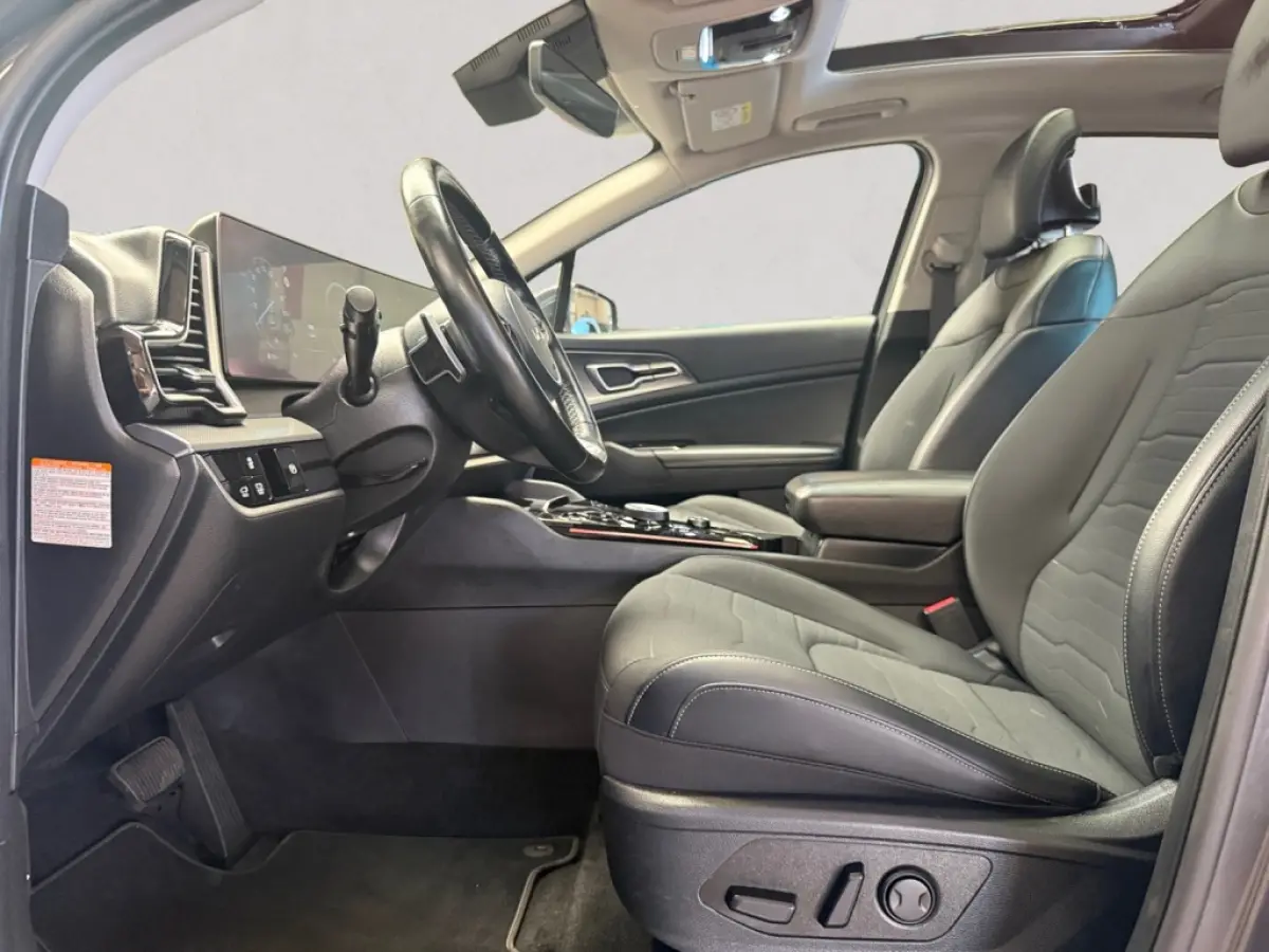 1.6 T 230 PK Hybride DynamicPlus Line | panoramadak