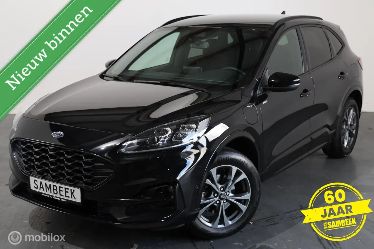 2.5 PHEV ST-Line - Carplay - Camera - Stoelverwarming